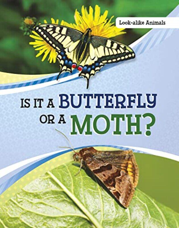 

Is It a Butterfly or a Moth by Ken BuchananLibba Tray-Paperback