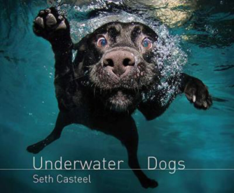 

Underwater Dogs, Paperback Book, By: Seth Casteel