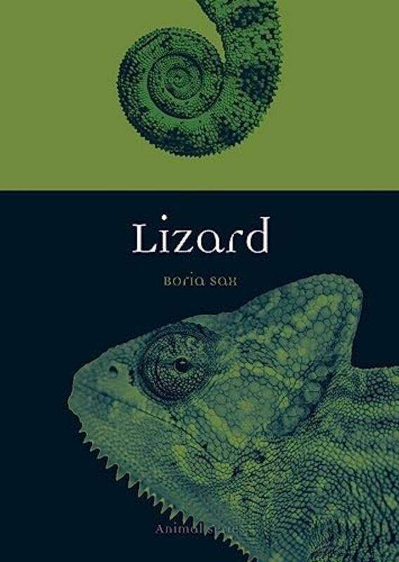 

Lizard by Kimberly Gallagher-Paperback