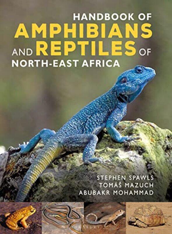 

Handbook of Amphibians and Reptiles of Northeast Africa by Jan TschicholdRuari McLean-Hardcover