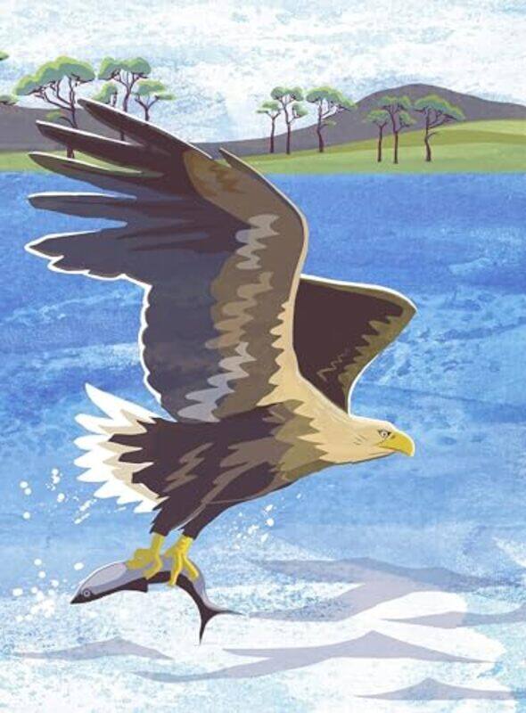 

Nature Notebook: Sea Eagle by Jane Smith -Other Book Format