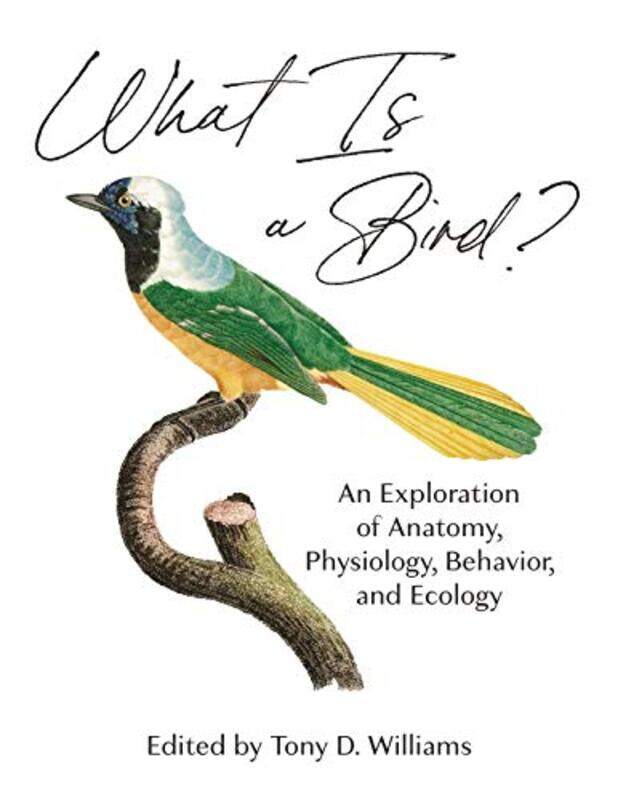 

What Is a Bird by Editor-Hardcover