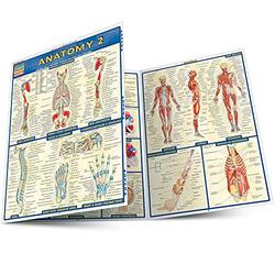 Anatomy 2 - Reference Guide (8.5 x 11): a QuickStudy Reference Tool,Paperback by Perez, Vincent