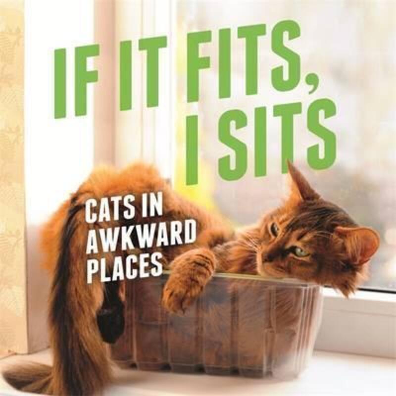 If It Fits, I Sits: Cats in Awkward Places.Hardcover,By :Various