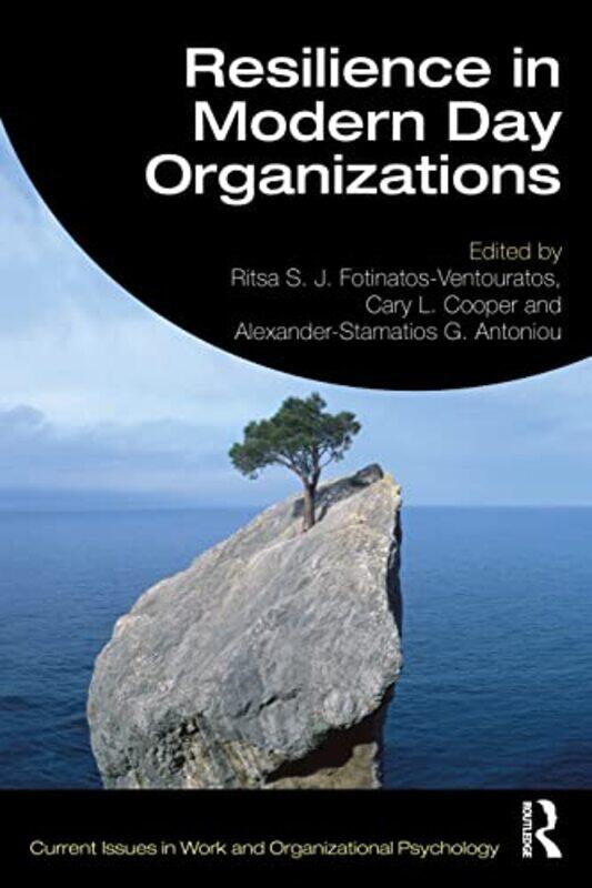 

Resilience in Modern Day Organizations by Stephen Turoff-Paperback