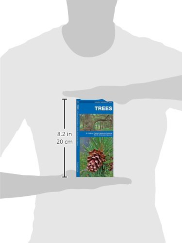 Trees: A Folding Pocket Guide to Familiar North American Plants (Wildlife and Nature Identification), Pamphlet Book, By: James Kavanagh Waterford Press, Leung Raymond Leung Raymond