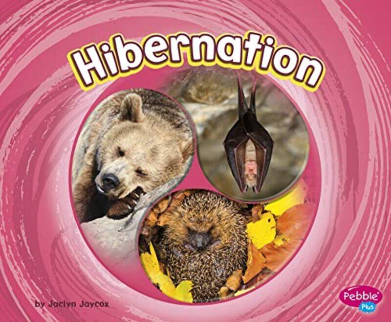 

Hibernation by Raman PrinjaChris Wormell-Paperback