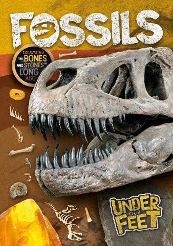 

Fossils by Kirsty Holmes-Paperback