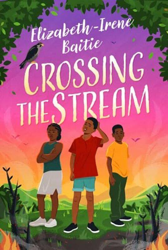 

Crossing the Stream by Elizabeth-Irene Baitie-Paperback