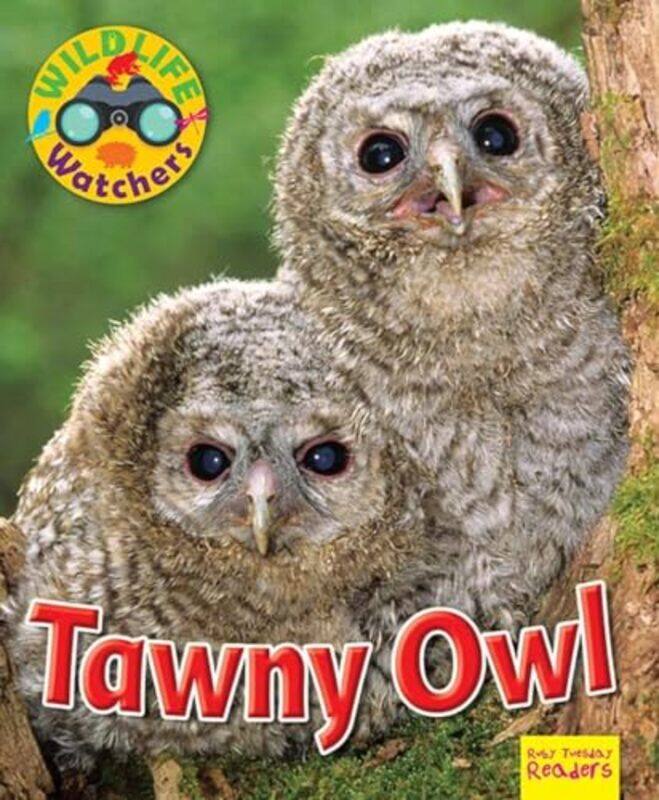 

Wildlife Watchers Tawny Owl-Paperback