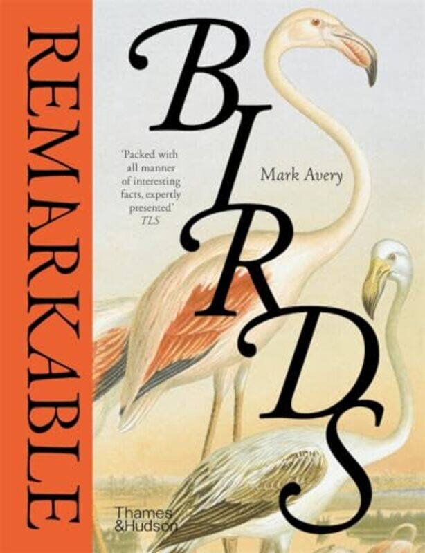 

Remarkable Birds by Arthur Rackham-Hardcover