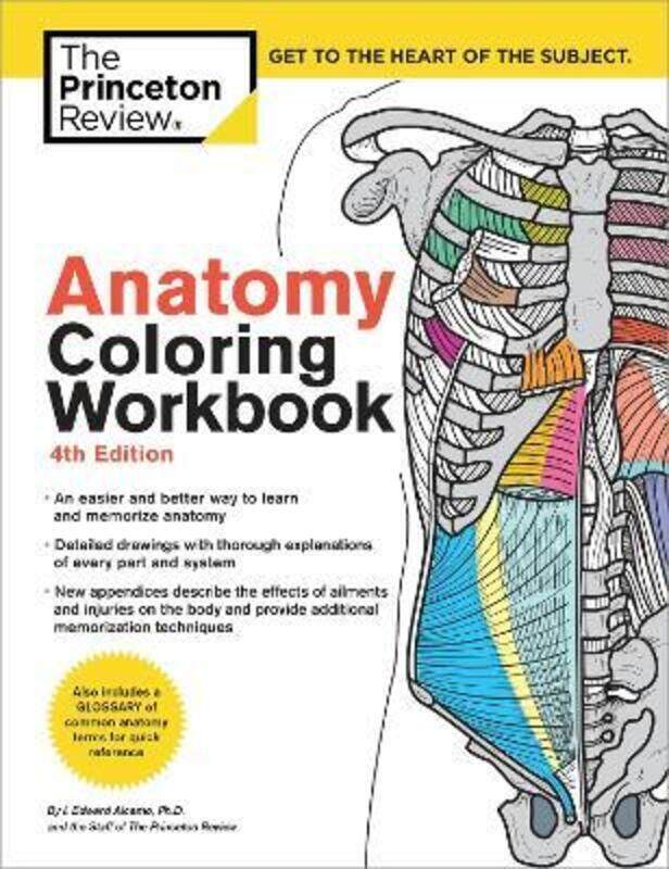 

Anatomy Coloring Workbook, 4th Edition: An Easier and Better Way to Learn Anatomy,Paperback, By:The Princeton Review - Alcamo, Edward