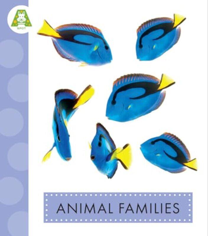 

Animal Families By Suen Anastasia - Paperback