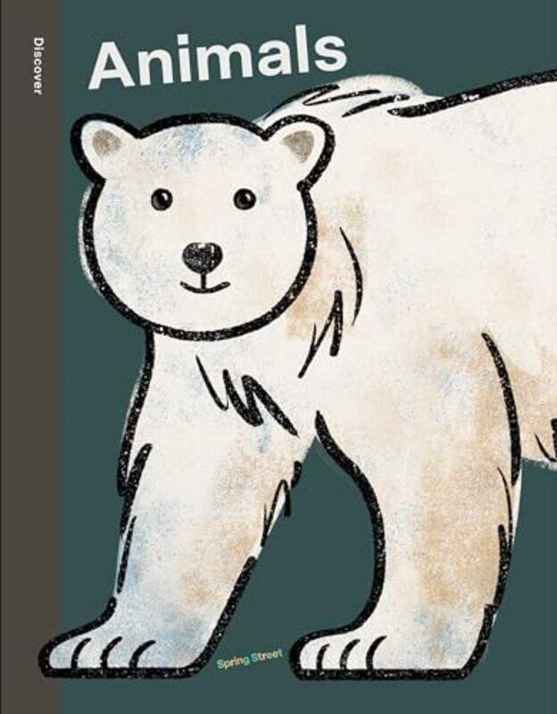 

Spring Street Discover Animals by Mark Rainsley-Hardcover