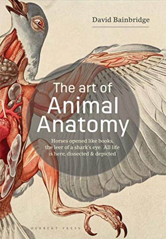 

The Art of Animal Anatomy by Simon Taylor-Paperback