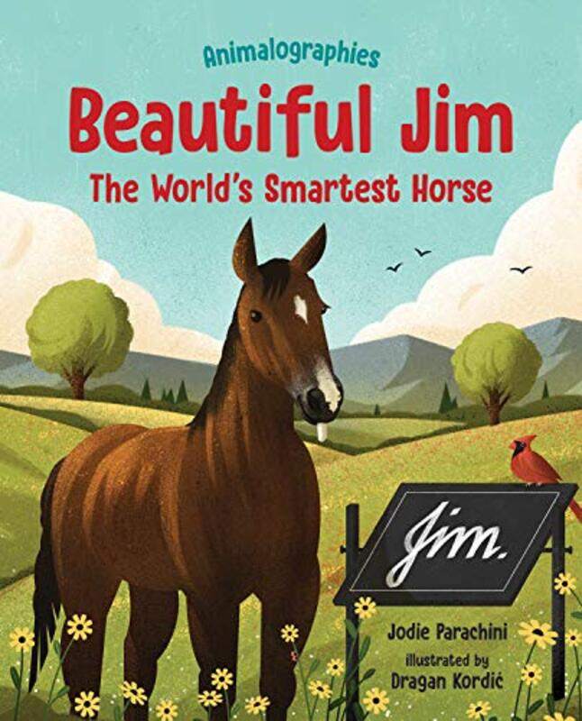 

Beautiful Jim by JODIE PARACHINI-Hardcover