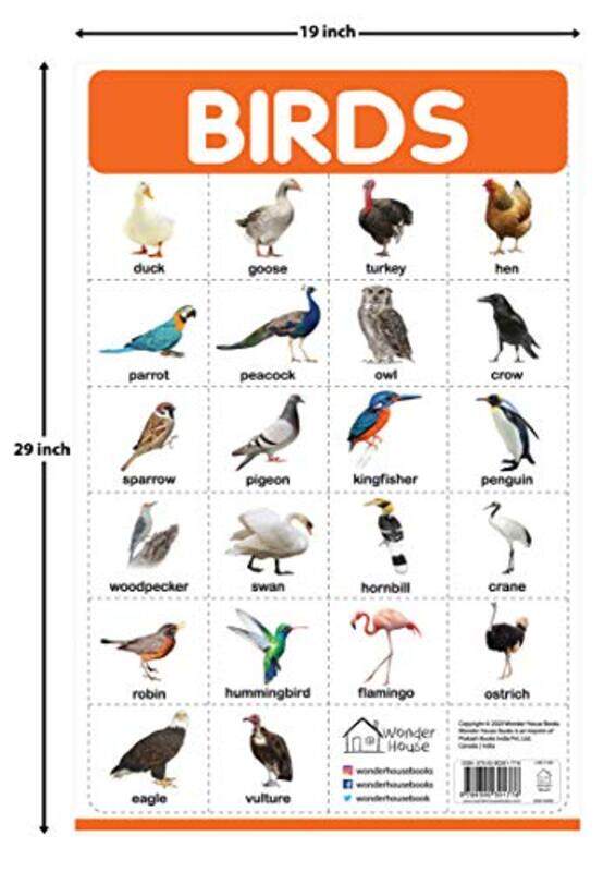 

Birds My First Early Learning Wall Posters For Preschool Kindergarten Nursery And Homeschooling by Wonder House Books Paperback