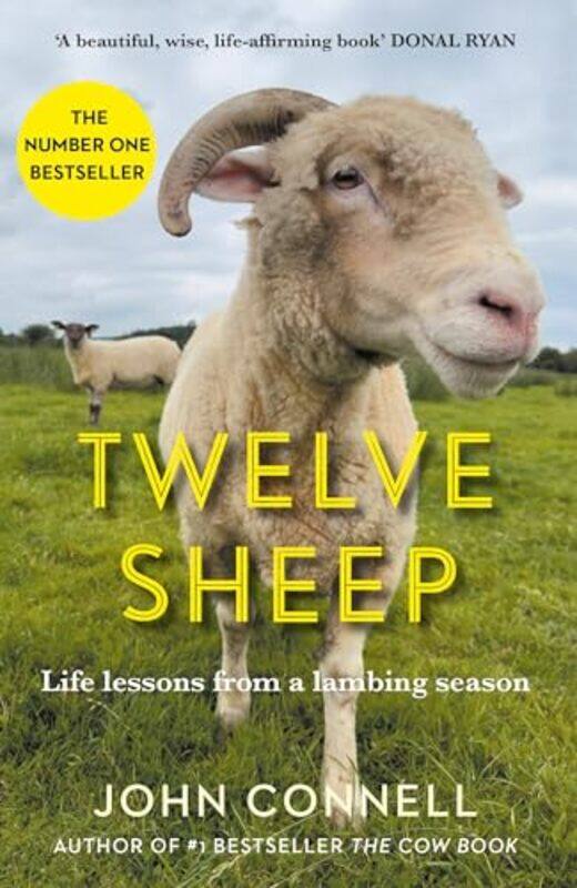 

Twelve Sheep by John Wood-Hardcover