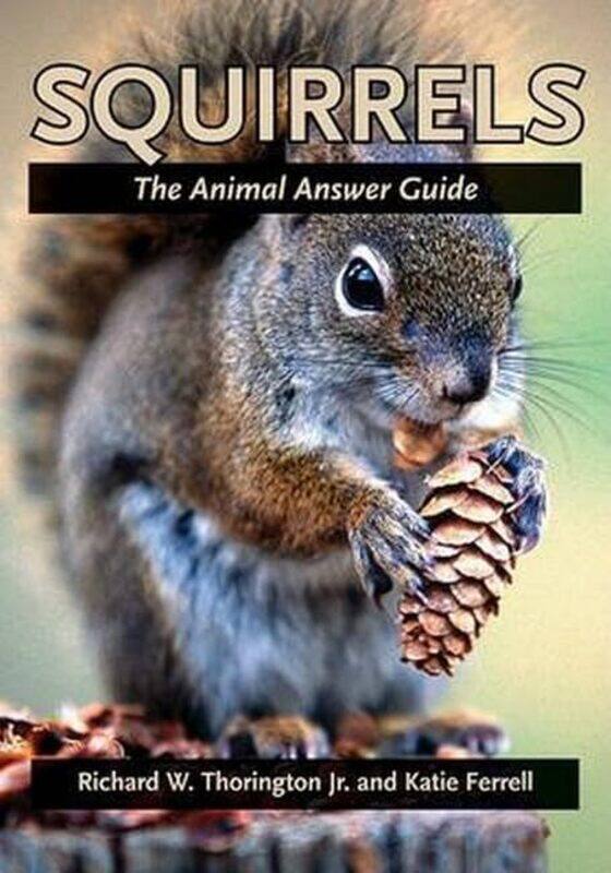 

Squirrels by Maureen Mason-Paperback
