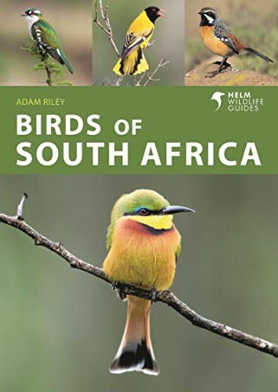 

Birds Of South Africa by Adam Riley-Paperback