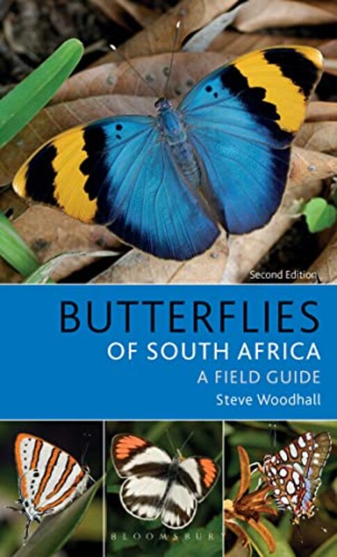 

Field Guide to Butterflies of South Africa by Stuart J MurphyEdward Miller-Paperback