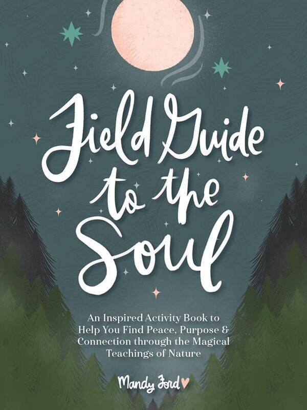 

Field Guide to the Soul by Mandy Ford-Hardcover