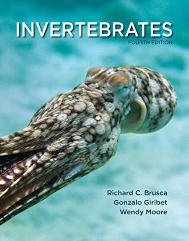 

Invertebrates by Jill AtkinsAtkins Jill-Paperback