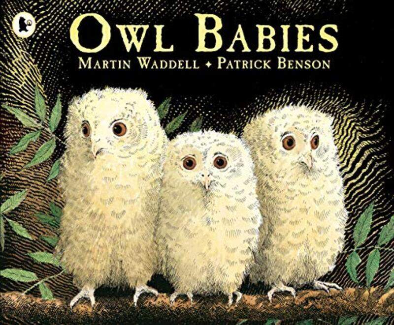 

Owl Babies by Martin WaddellPatrick Benson-Paperback