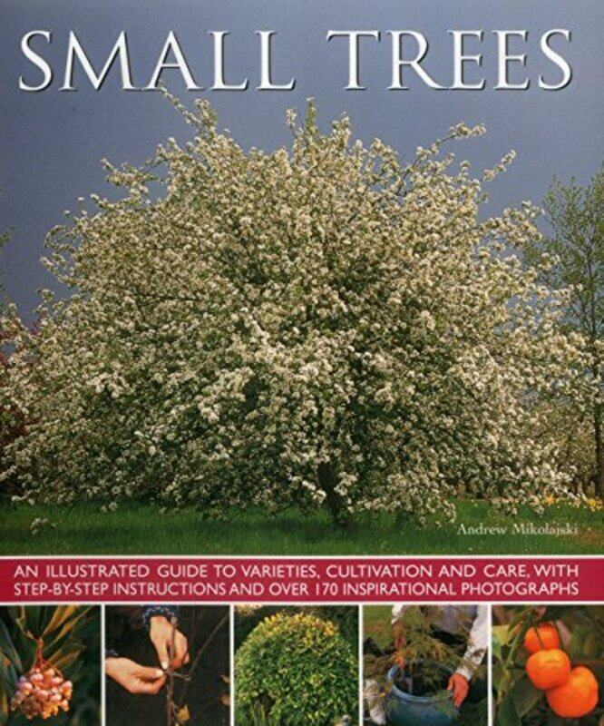 

Small Trees by Eric Saunders-Paperback
