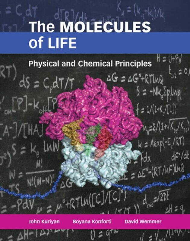 

The Molecules of Life by John KuriyanBoyana KonfortiDavid Wemmer-Paperback