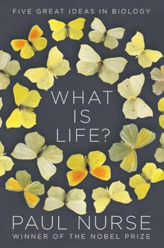 

What Is Life By Nurse Paul - Hardcover