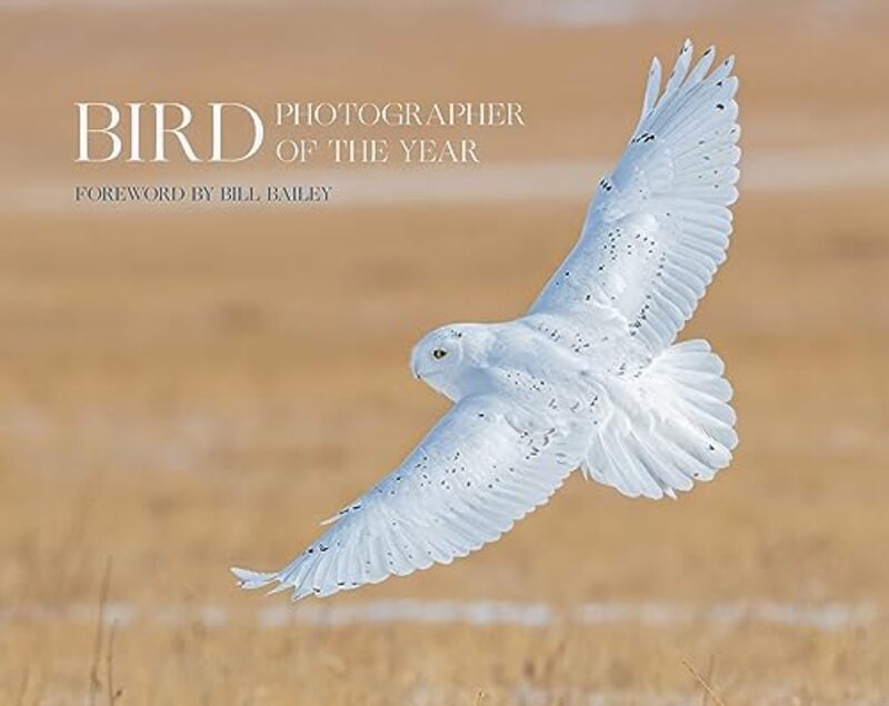 Bird Photographer of the Year by Peter D Louisiana State University CliftJade d'Alpoim Guedes-Hardcover