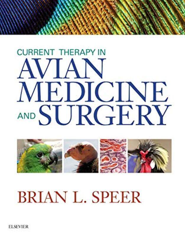 

Current Therapy In Avian Medicine And Surgery By Brian Speer, Dvn Dipeczm (Avian) Diplabvp (Avian) Hardcover
