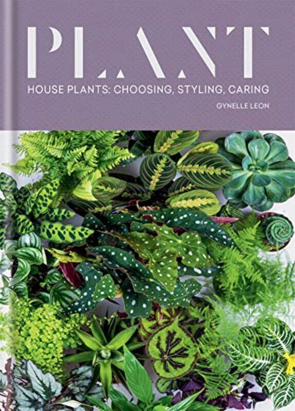 

Plant by Kirstina Ordetx-Hardcover