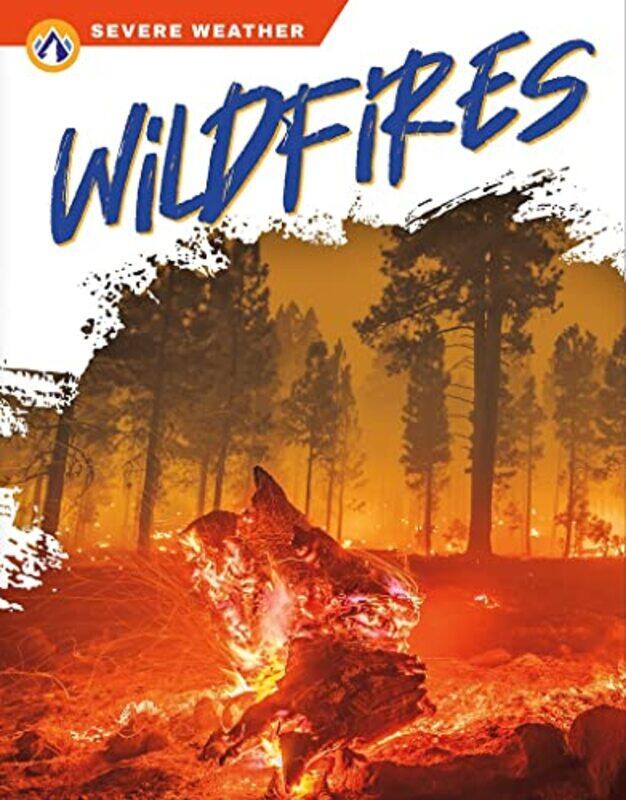 

Severe Weather Wildfires by Candice Ransom-Hardcover