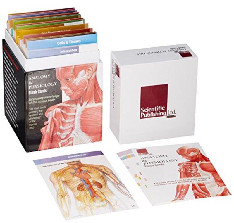 

Bx-Anatomy And Physiology Flash Cards By Scientific Publishing - Paperback