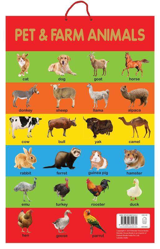 

Pet & Farm Animals, Paperback Book, By: Wonder House Books