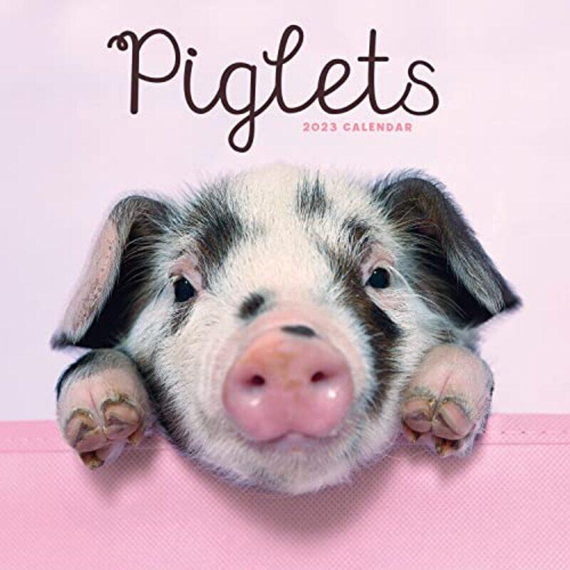 

Piglets Mini by Carous - Paperback