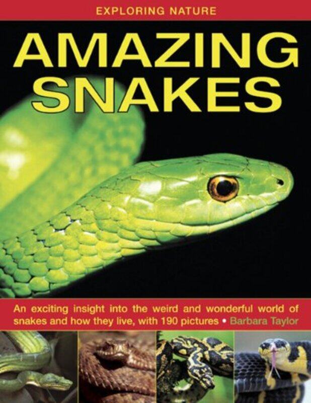 

Exploring Nature Amazing Snakes by Marion BennathanMajorie Boxall-Hardcover