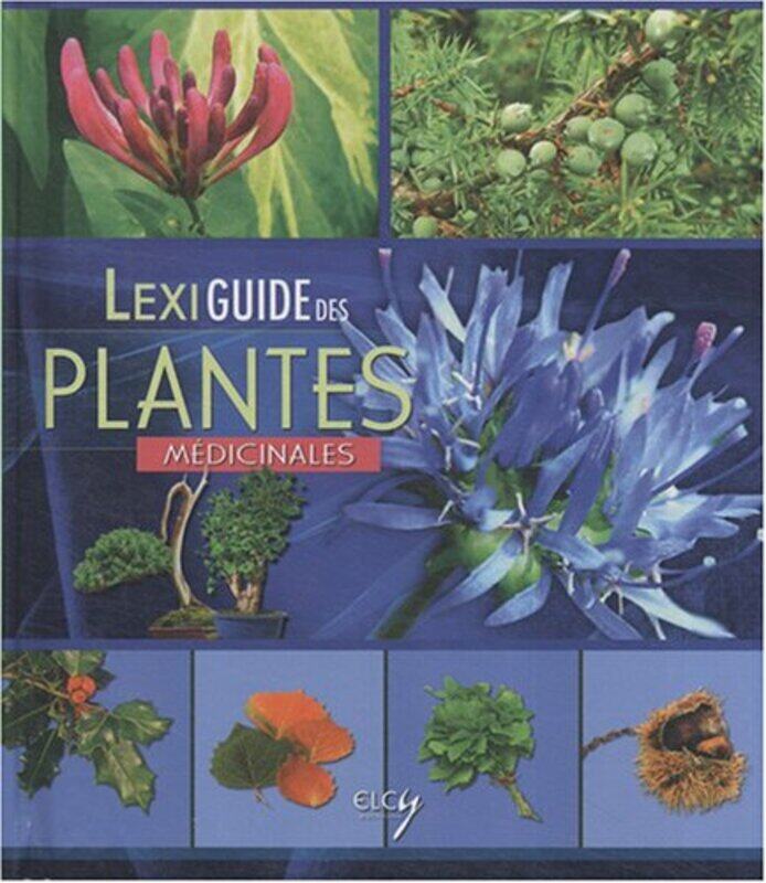 

Lexiguide des plantes m dicinales,Paperback by Iris Schmidt