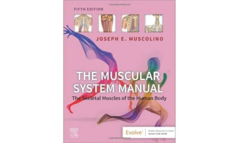 

The Muscular System Manual by Angela Burt-Paperback