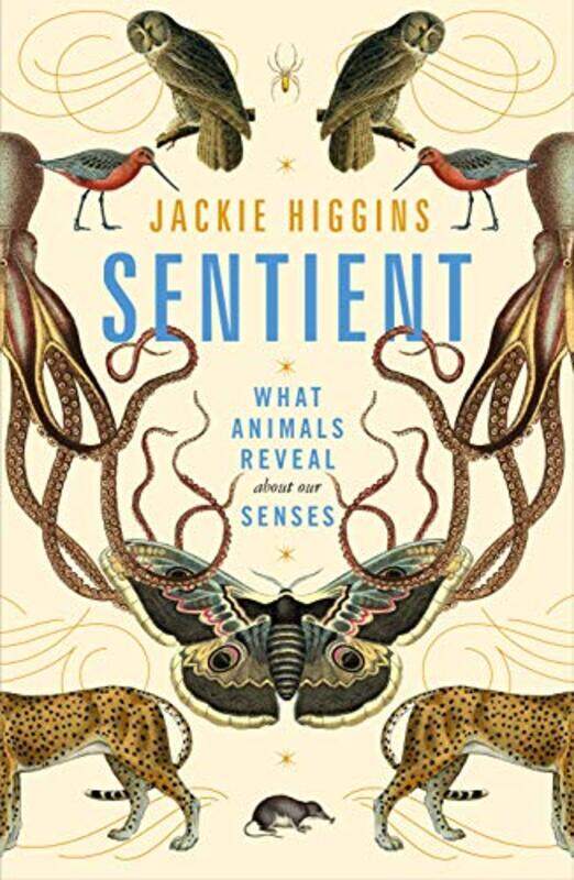 

Sentient by Basan Ghillie-Paperback