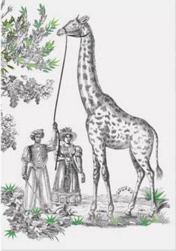 

Christian Lacroix Exotisme A5 8" X 6" Softcover Notebook.paperback,By :Lacroix, Christian - McMenemy, Sarah