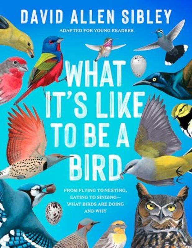 

What Its Like To Be A Bird Adapted For Young Readers From Flying To Nesting Eating To Singing by Sibley, David Allen - Hardcover