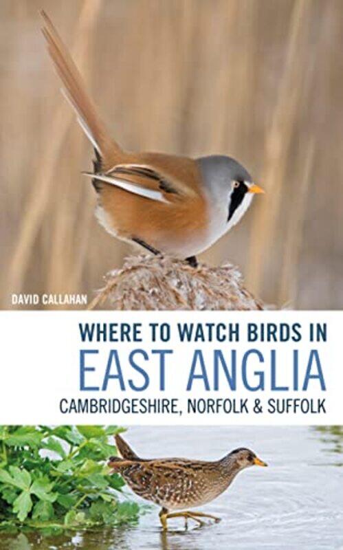 

Where to Watch Birds in East Anglia by DK-Paperback