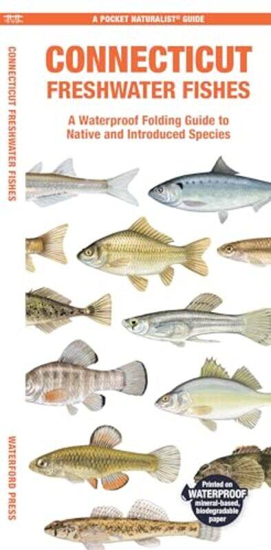 

Connecticut Freshwater Fishes by Matthew, Waterford Press MorrisLeung Raymond Leung Raymond -Other Book Format