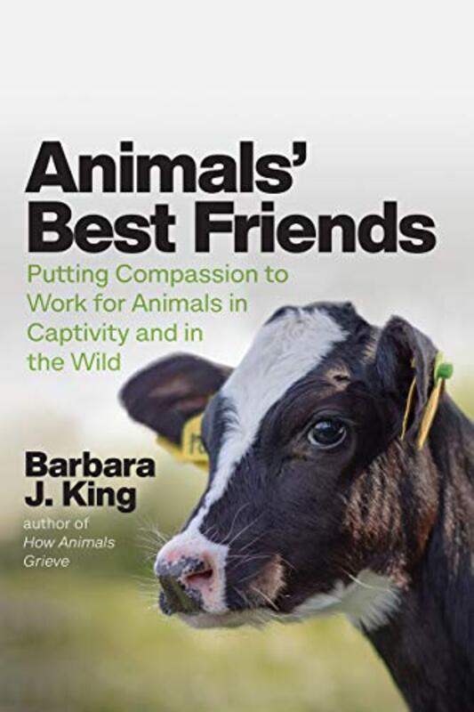 Animals Best Friends by Barbara J King-Hardcover