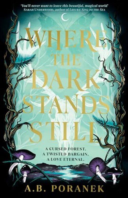 

Where The Dark Stands Still by AB Poranek-Paperback