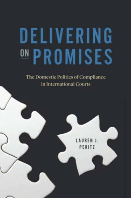 

Delivering on Promises by Lauren J Peritz-Paperback