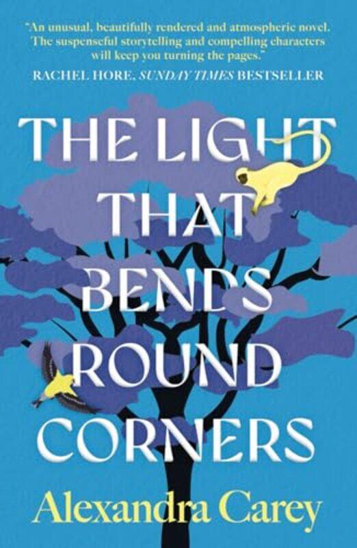 

The Light That Bends Round Corners by Alexandra Carey-Paperback